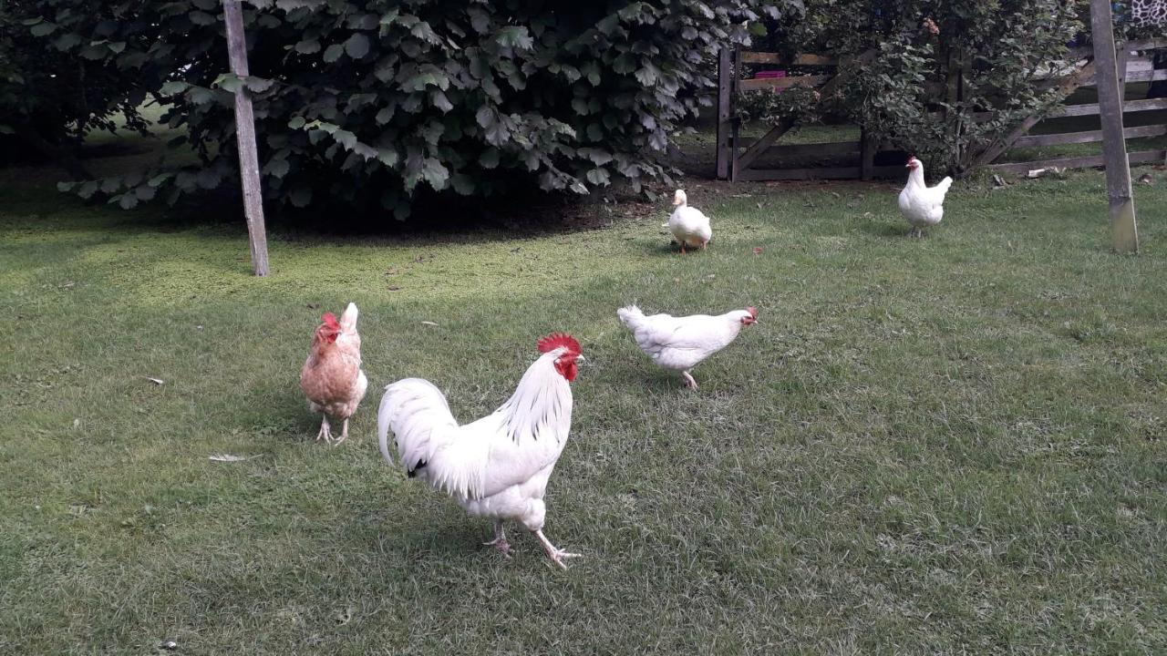 Western House B&B Kurow Εξωτερικό φωτογραφία