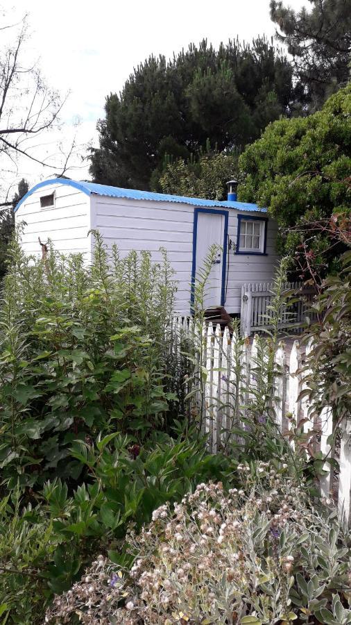 Western House B&B Kurow Εξωτερικό φωτογραφία